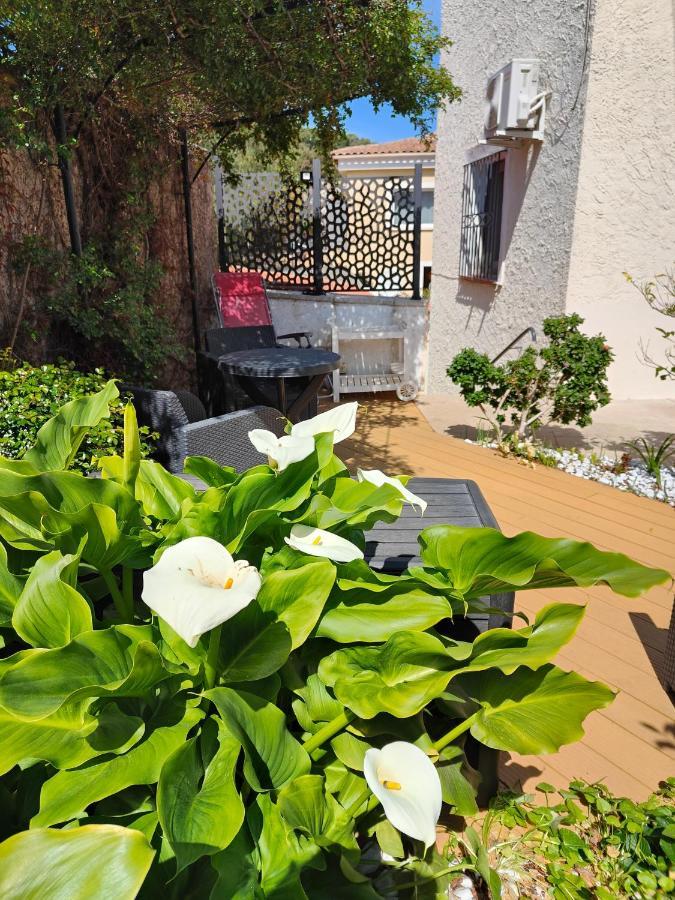 Petite Etoile De Mer - Studio Hyper Equipe A 150M D'Une Plage De Sable Fin Grande Terrasse Presqu'Ile De Charme 생 망드리에 쉬르 메르 외부 사진